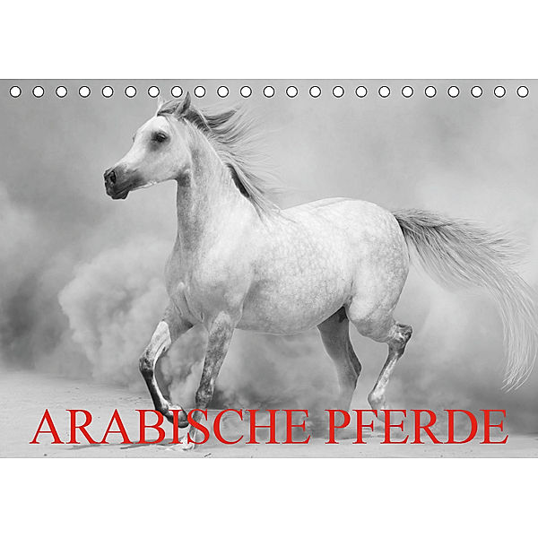 Arabische Pferde (Tischkalender 2019 DIN A5 quer), Elisabeth Stanzer