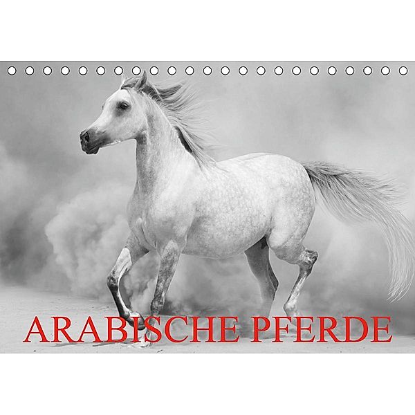 Arabische Pferde (Tischkalender 2021 DIN A5 quer), Elisabeth Stanzer