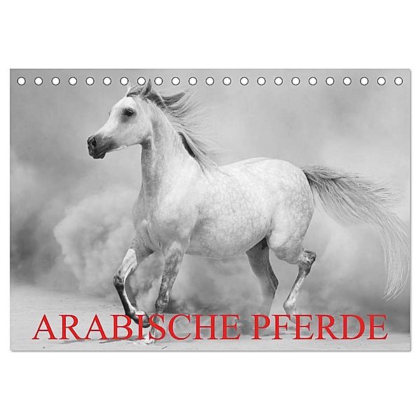 Arabische Pferde (Tischkalender 2024 DIN A5 quer), CALVENDO Monatskalender, Elisabeth Stanzer