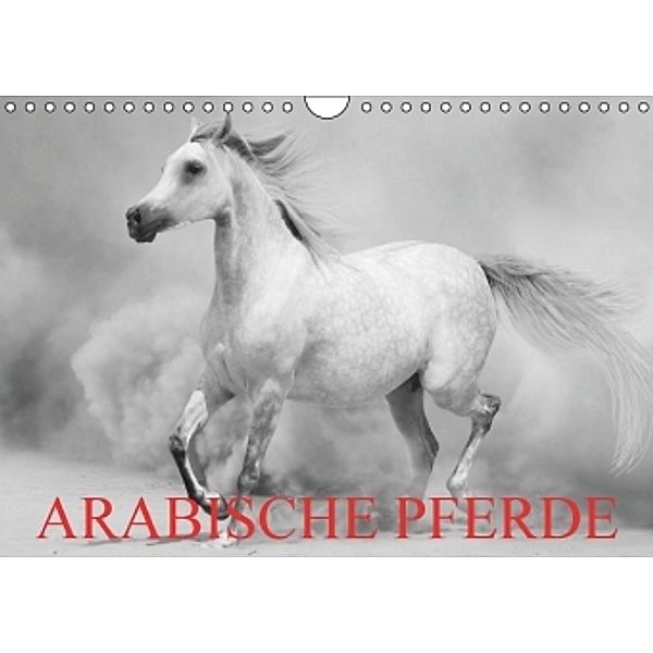 Arabische Pferde (Wandkalender 2016 DIN A4 quer), Elisabeth Stanzer