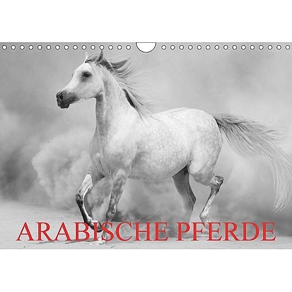 Arabische Pferde (Wandkalender 2017 DIN A4 quer), Elisabeth Stanzer