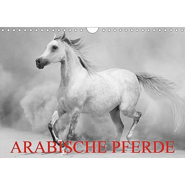 Arabische Pferde (Wandkalender 2020 DIN A4 quer), Elisabeth Stanzer