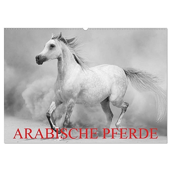 Arabische Pferde (Wandkalender 2024 DIN A2 quer), CALVENDO Monatskalender, Elisabeth Stanzer