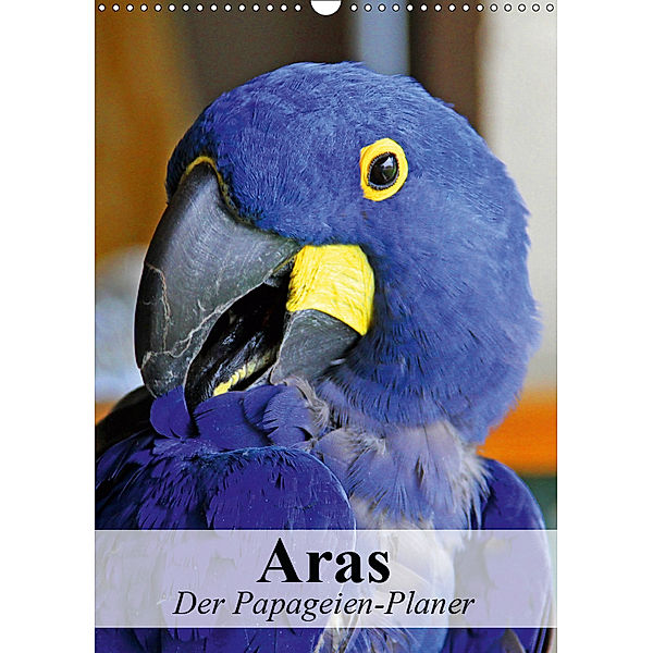 Aras. Der Papageien-Planer (Wandkalender 2019 DIN A3 hoch), Elisabeth Stanzer