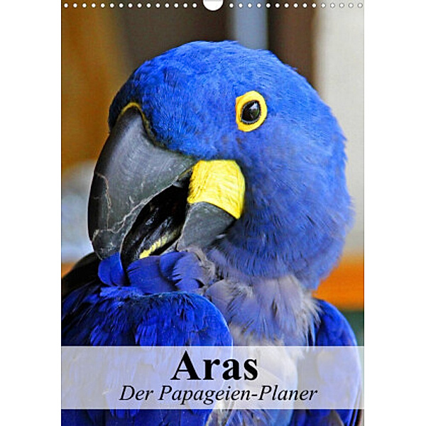 Aras. Der Papageien-Planer (Wandkalender 2022 DIN A3 hoch), Elisabeth Stanzer