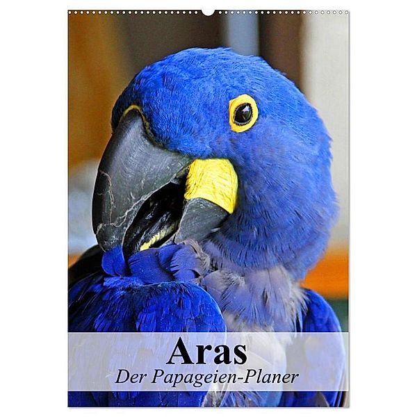 Aras. Der Papageien-Planer (Wandkalender 2024 DIN A2 hoch), CALVENDO Monatskalender, Elisabeth Stanzer