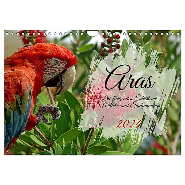Aras - die fliegenden Edelsteine Mittel- und Südamerikas (Wandkalender 2024 DIN A4 quer), CALVENDO Monatskalender, Claudia Kleemann