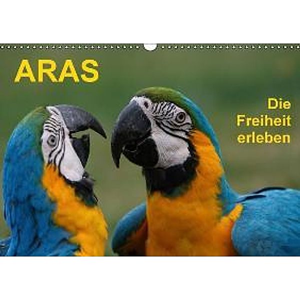 Aras, die Freiheit erleben (Wandkalender 2016 DIN A3 quer), Juliane Meyer