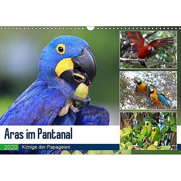 Aras im Pantanal (Wandkalender 2020 DIN A3 quer), Yvonne Herzog, Michael Herzog