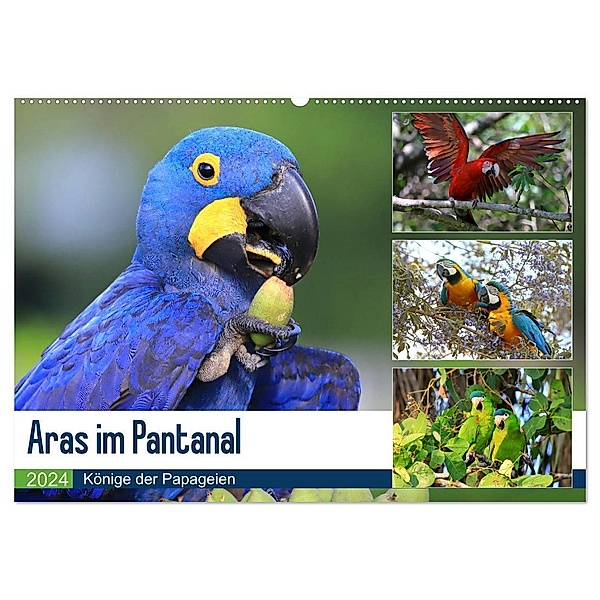 Aras im Pantanal (Wandkalender 2024 DIN A2 quer), CALVENDO Monatskalender, Yvonne und Michael Herzog
