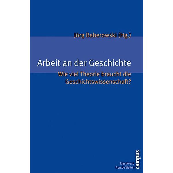 Arbeit an der Geschichte / Eigene und fremde Welten Bd.18, Jörg Baberowski, Jens Hacke, David Feest, Ruth Schilling, Vincent Houben, Priska Jones