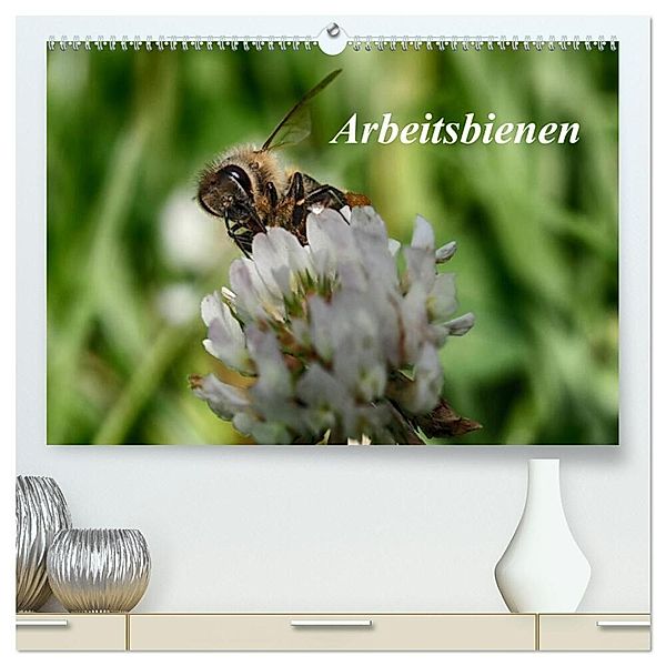 Arbeitsbienen (hochwertiger Premium Wandkalender 2025 DIN A2 quer), Kunstdruck in Hochglanz, Calvendo, Klaudia Kretschmann