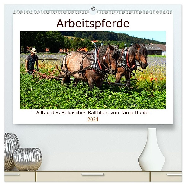 Arbeitspferde - Alltag des belgischen Kaltbluts (hochwertiger Premium Wandkalender 2024 DIN A2 quer), Kunstdruck in Hochglanz, Tanja Riedel