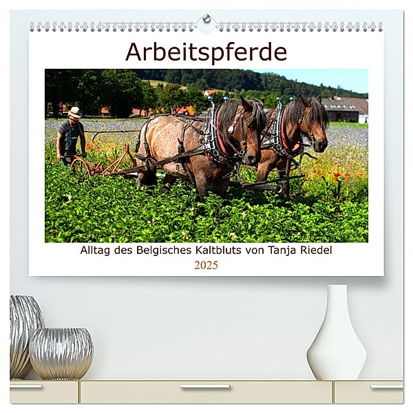 Arbeitspferde - Alltag des belgischen Kaltbluts (hochwertiger Premium Wandkalender 2025 DIN A2 quer), Kunstdruck in Hochglanz, Calvendo, Tanja Riedel