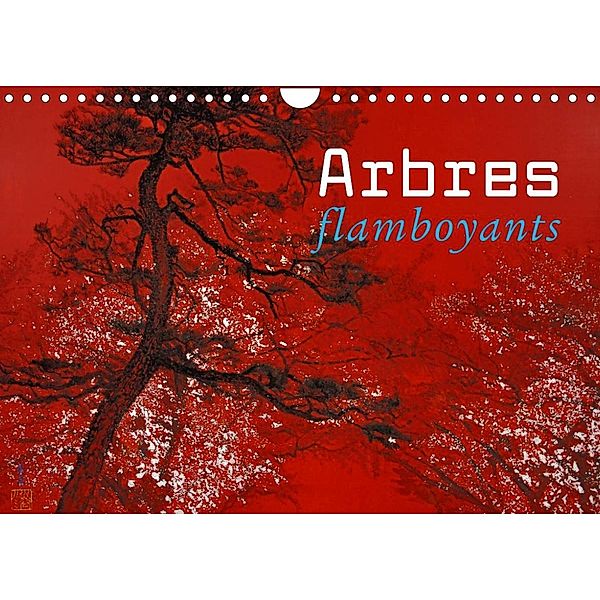 Arbres flamboyants (Calendrier mural 2023 DIN A4 horizontal), Lumi Mizutani