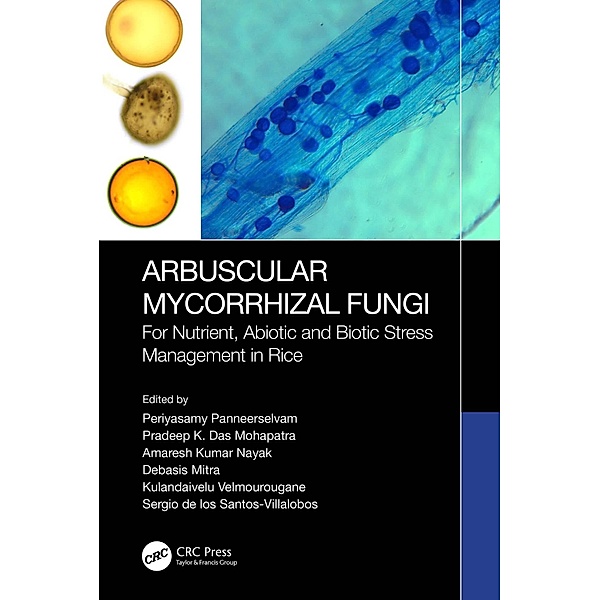Arbuscular Mycorrhizal Fungi