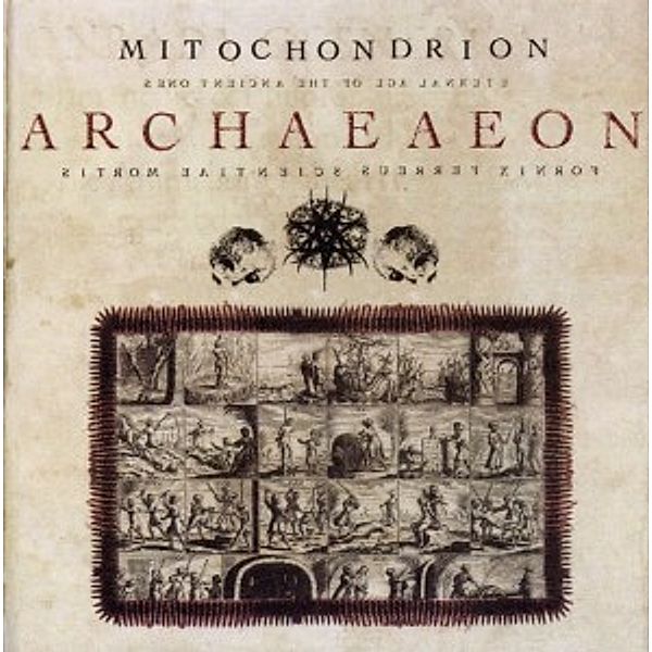 Archaeaeon, Mitochodrion