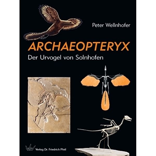 Archaeopteryx, Peter Wellnhofer