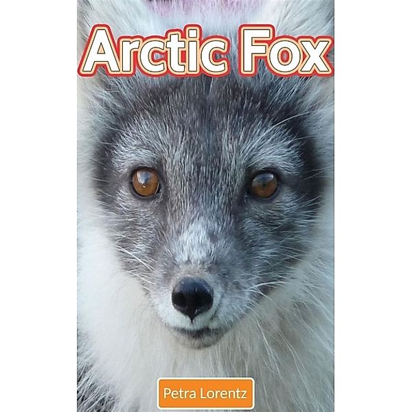 Arctic Fox, Petra Lorentz