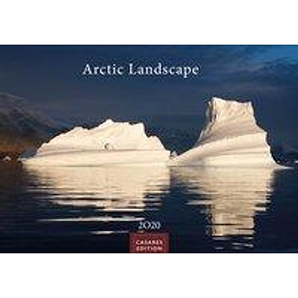 Arctic Landscape 2020