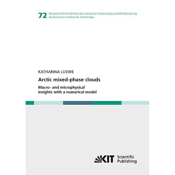 Arctic mixed-phase clouds : Macro- and microphysical insights with a numerical model, Katharina Loewe