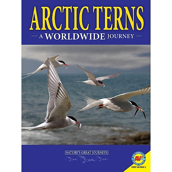 Arctic Terns: A Worldwide Journey, Rebecca Hirsch