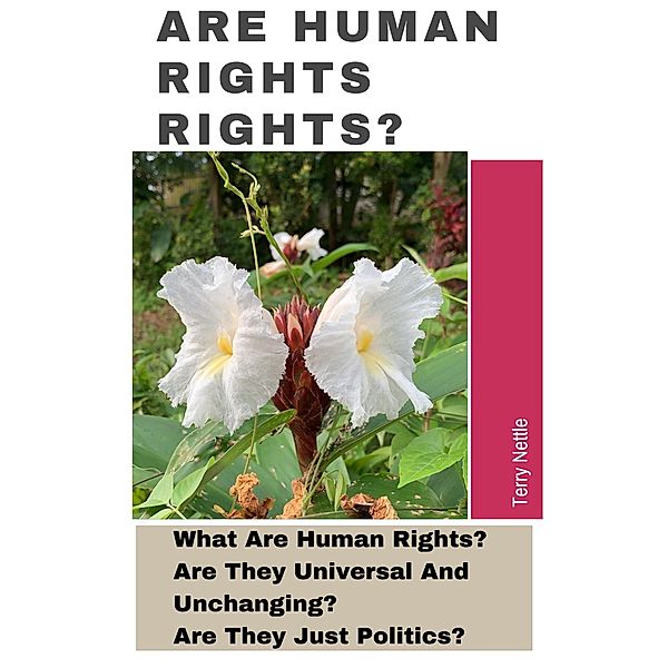 Are Human Rights Rights?: What Are Human Rights? Are They Universal And Unchanging? Are They Just Politics?, Terry Nettle