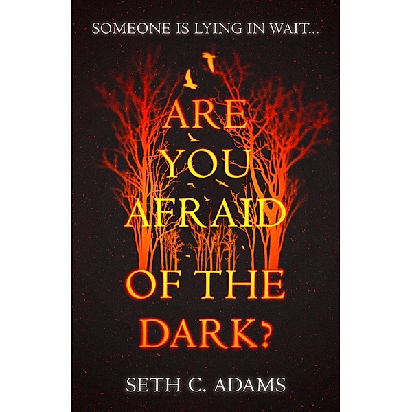 Are You Afraid of the Dark?, Seth C. Adams