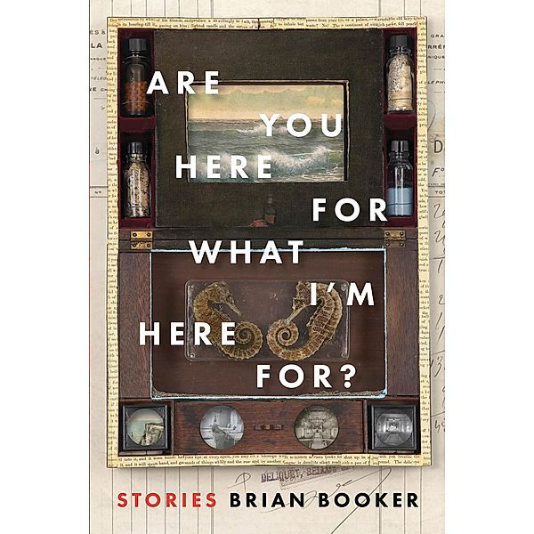 Are You Here For What I'm Here For?, Brian Booker