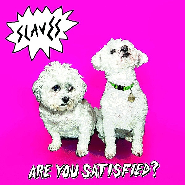 Are You Satisfied? (Vinyl), Slaves