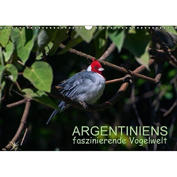 Argentiniens faszinierende Vogelwelt (Wandkalender 2017 DIN A3 quer), Bernd Zillich