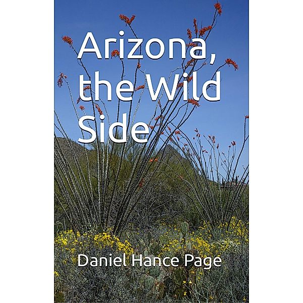 Arizona, the Wild Side, Daniel Hance Page