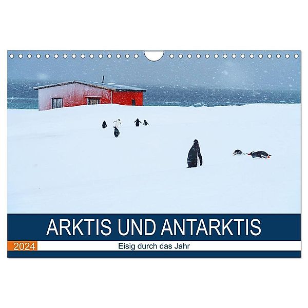 Arktis und Antarktis - Eisig durch das Jahr (Wandkalender 2024 DIN A4 quer), CALVENDO Monatskalender, Beate und Dr. Joachim Kartte