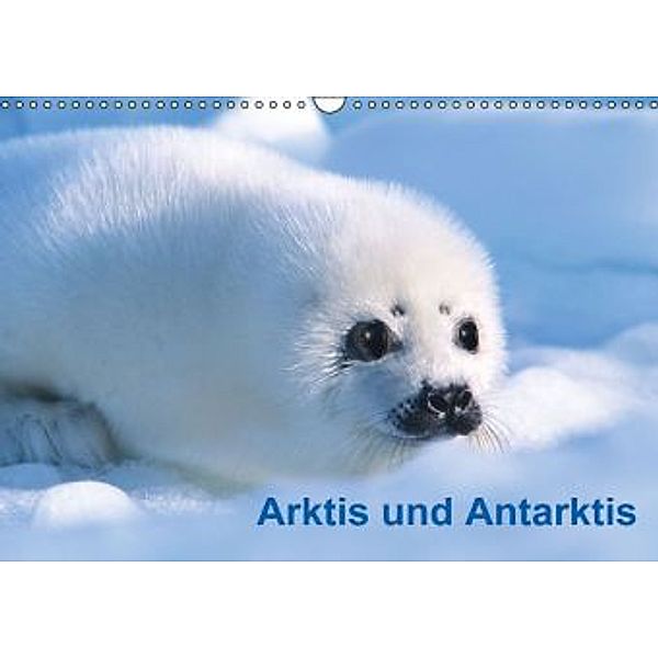 Arktis und Antarktis (Wandkalender 2015 DIN A3 quer), Michael DeFreitas