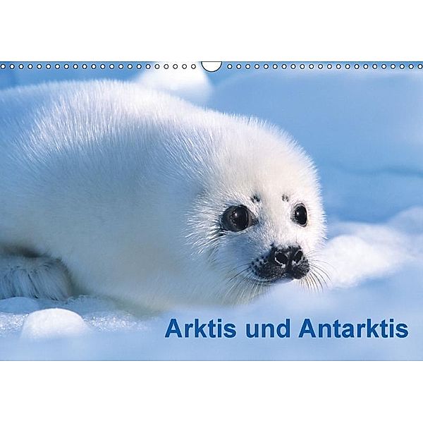 Arktis und Antarktis (Wandkalender 2017 DIN A3 quer), Michael DeFreitas