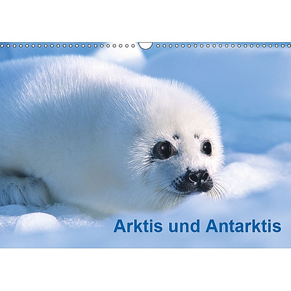 Arktis und Antarktis (Wandkalender 2019 DIN A3 quer), Michael DeFreitas, McPHOTO