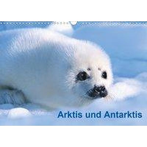 Arktis und Antarktis (Wandkalender 2020 DIN A3 quer), Michael DeFreitas, McPHOTO