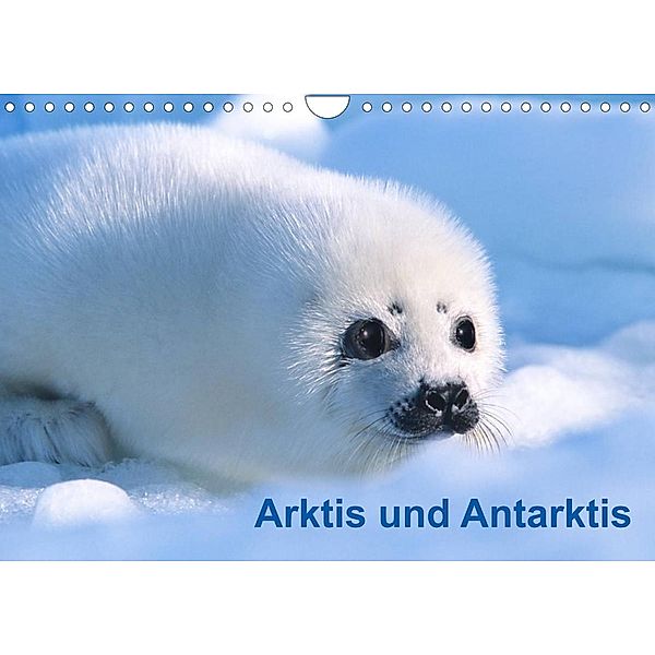 Arktis und Antarktis (Wandkalender 2023 DIN A4 quer), McPHOTO