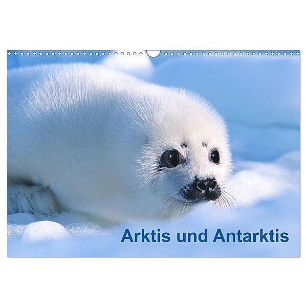 Arktis und Antarktis (Wandkalender 2024 DIN A3 quer), CALVENDO Monatskalender, McPHOTO