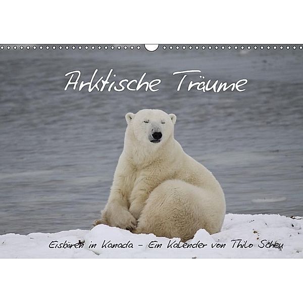 Arktische Träume - Eisbären in Kanada (Wandkalender 2017 DIN A3 quer), Thilo Scheu