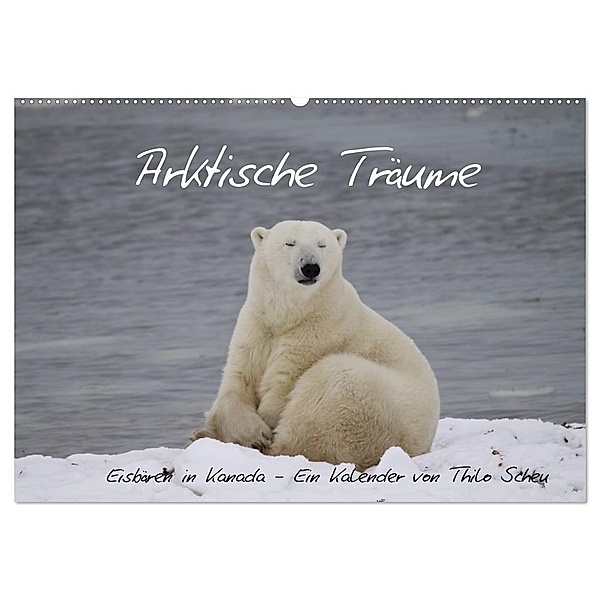 Arktische Träume - Eisbären in Kanada (Wandkalender 2024 DIN A2 quer), CALVENDO Monatskalender, Thilo Scheu