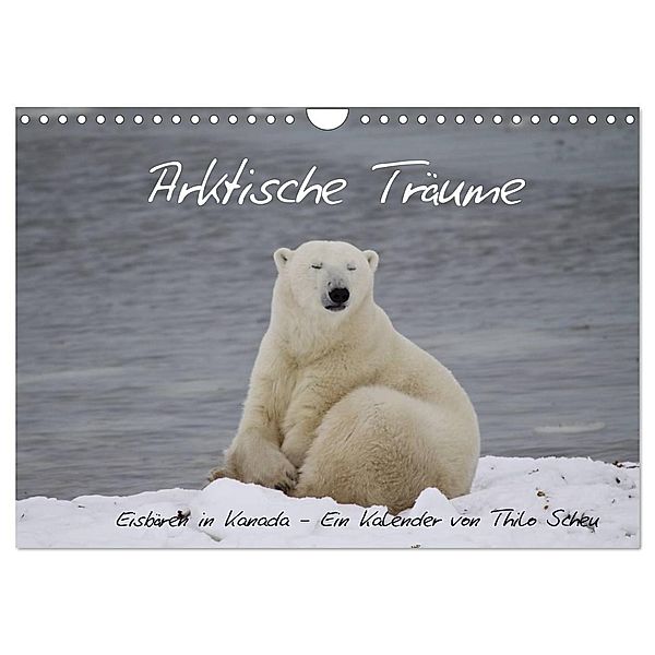 Arktische Träume - Eisbären in Kanada (Wandkalender 2024 DIN A4 quer), CALVENDO Monatskalender, Thilo Scheu