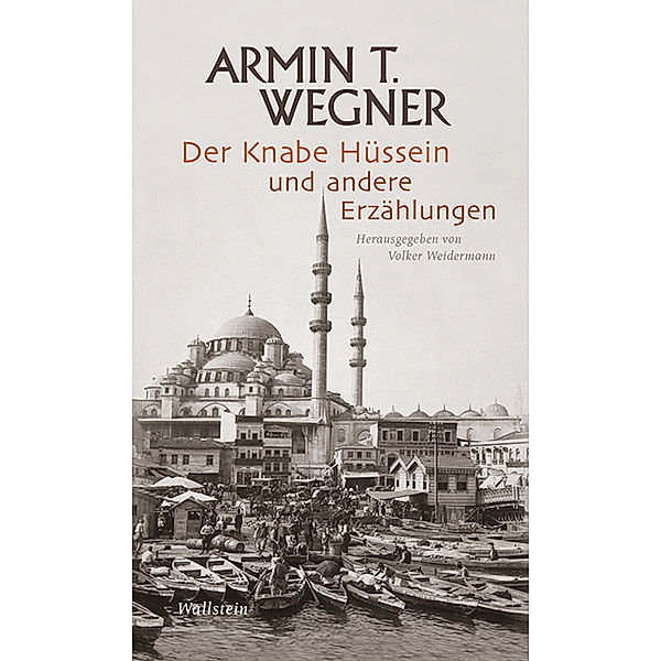 Armin T. Wegner: Ausgewählte Werke in Einzelbänden / Der Knabe Hüssein und andere Erzählungen, Armin T. Wegner