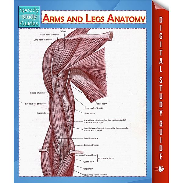 Arms and Legs Anatomy (Speedy Study Guide) / Dot EDU, Speedy Publishing