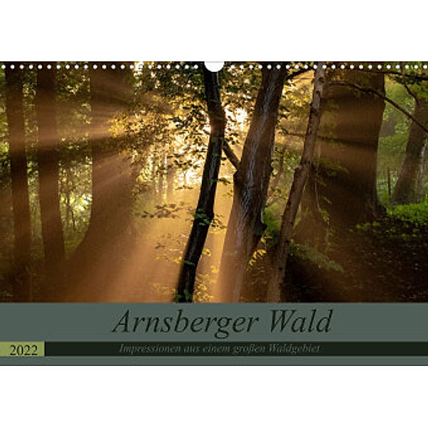Arnsberger Wald (Wandkalender 2022 DIN A3 quer), Dr. Franz Josef Hering