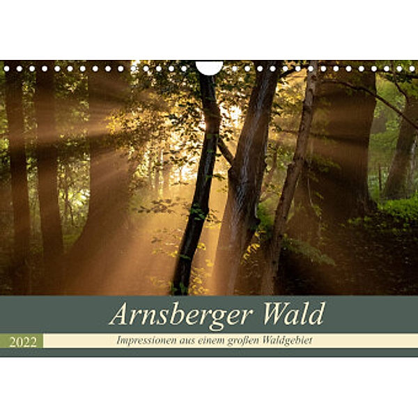 Arnsberger Wald (Wandkalender 2022 DIN A4 quer), Dr. Franz Josef Hering
