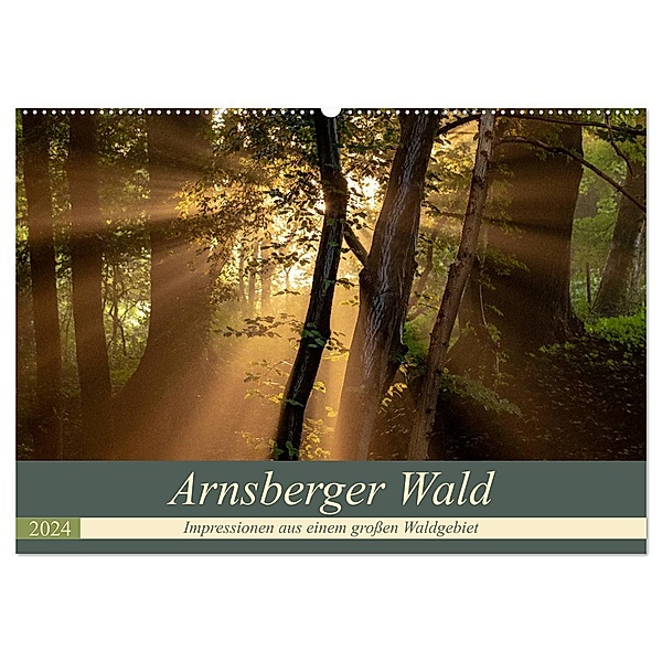 Arnsberger Wald (Wandkalender 2024 DIN A2 quer), CALVENDO Monatskalender, Dr. Franz Josef Hering