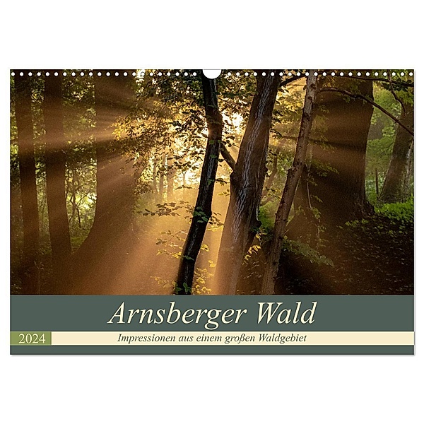 Arnsberger Wald (Wandkalender 2024 DIN A3 quer), CALVENDO Monatskalender, Dr. Franz Josef Hering