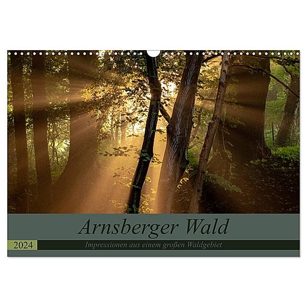 Arnsberger Wald (Wandkalender 2024 DIN A3 quer), CALVENDO Monatskalender, Dr. Franz Josef Hering