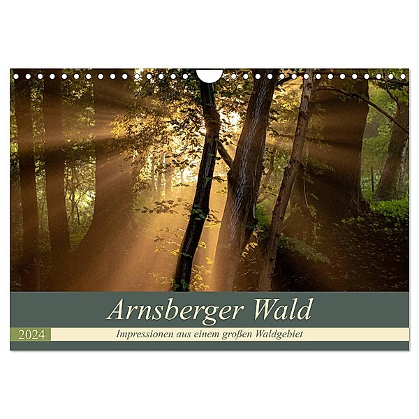 Arnsberger Wald (Wandkalender 2024 DIN A4 quer), CALVENDO Monatskalender, Dr. Franz Josef Hering